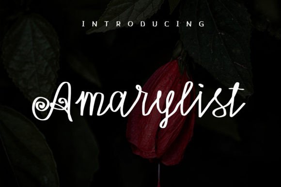 Amarylist: A Bold Script Font for Modern Branding