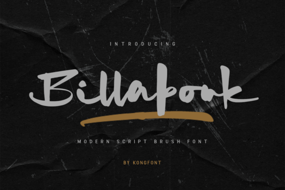 Billabonk Typeface for Modern Web Design