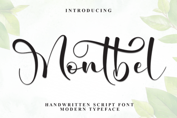 Montbel: Elevating Web Typography with Elegant Script