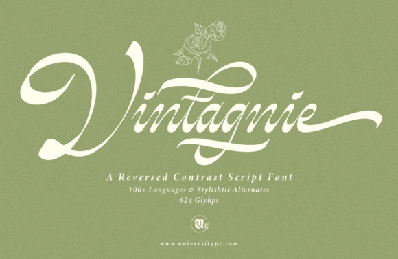 Vintagnie Font Review for Elegant Branding