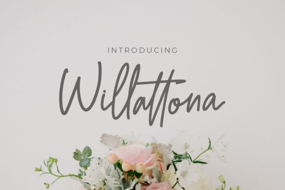 Willattona: The Script Font That Elevates Brand Identity